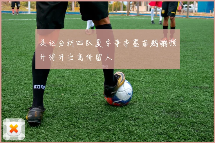 美记分析四队夏季争夺墨菲鹈鹕预计将开出高价留人